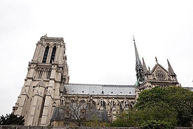  《狂野星球之旅：最佳员工》现已正式推出